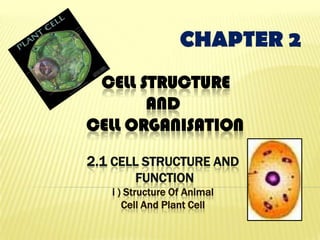 CELL STRUCTURE
AND
CELL ORGANISATION
2.1 CELL STRUCTURE AND
FUNCTION
i ) Structure Of Animal
Cell And Plant Cell
CHAPTER 2
 