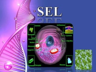 Science Cell Pu Biology cell pu3 | PPTX