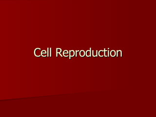 Cell Reproduction 
