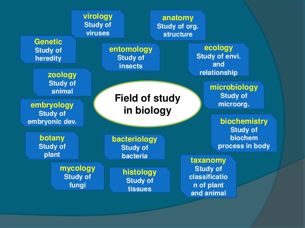 biology as a case study