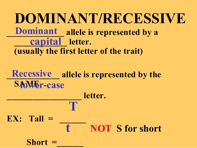 what is the letter of the recessive allele