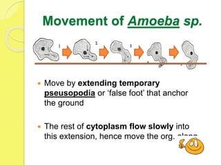 Biology chapter 2 | PPTX
