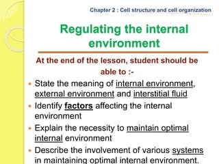 Interstitial Environment Biology chapter 2 | PPTX