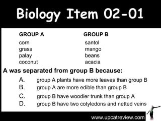 Biology Item 02-01 GROUP A     GROUP B     corn  santol  grass  mango  palay  beans  coconut   acacia A was separated from group B because: A.   group A plants have more leaves than group B  B.    group A are more edible than group B  C.    group B have woodier trunk than group A  D.    group B have two cotyledons and netted veins www.upcatreview.com 