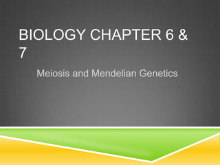 BIOLOGY CHAPTER 6 &
7
  Meiosis and Mendelian Genetics
 