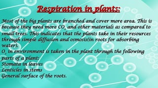 Respiration Class 10 | PDF