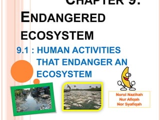 CHAPTER 9:
ENDANGERED
ECOSYSTEM
9.1 : HUMAN ACTIVITIES
      THAT ENDANGER AN
      ECOSYSTEM
 