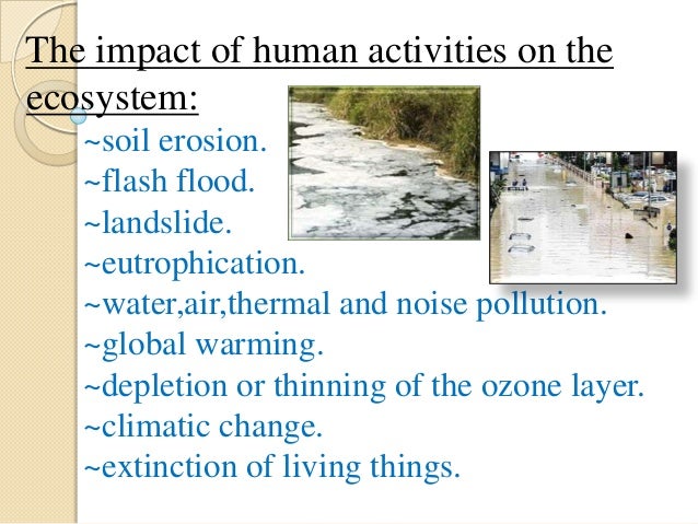 Human activities and soil erosion