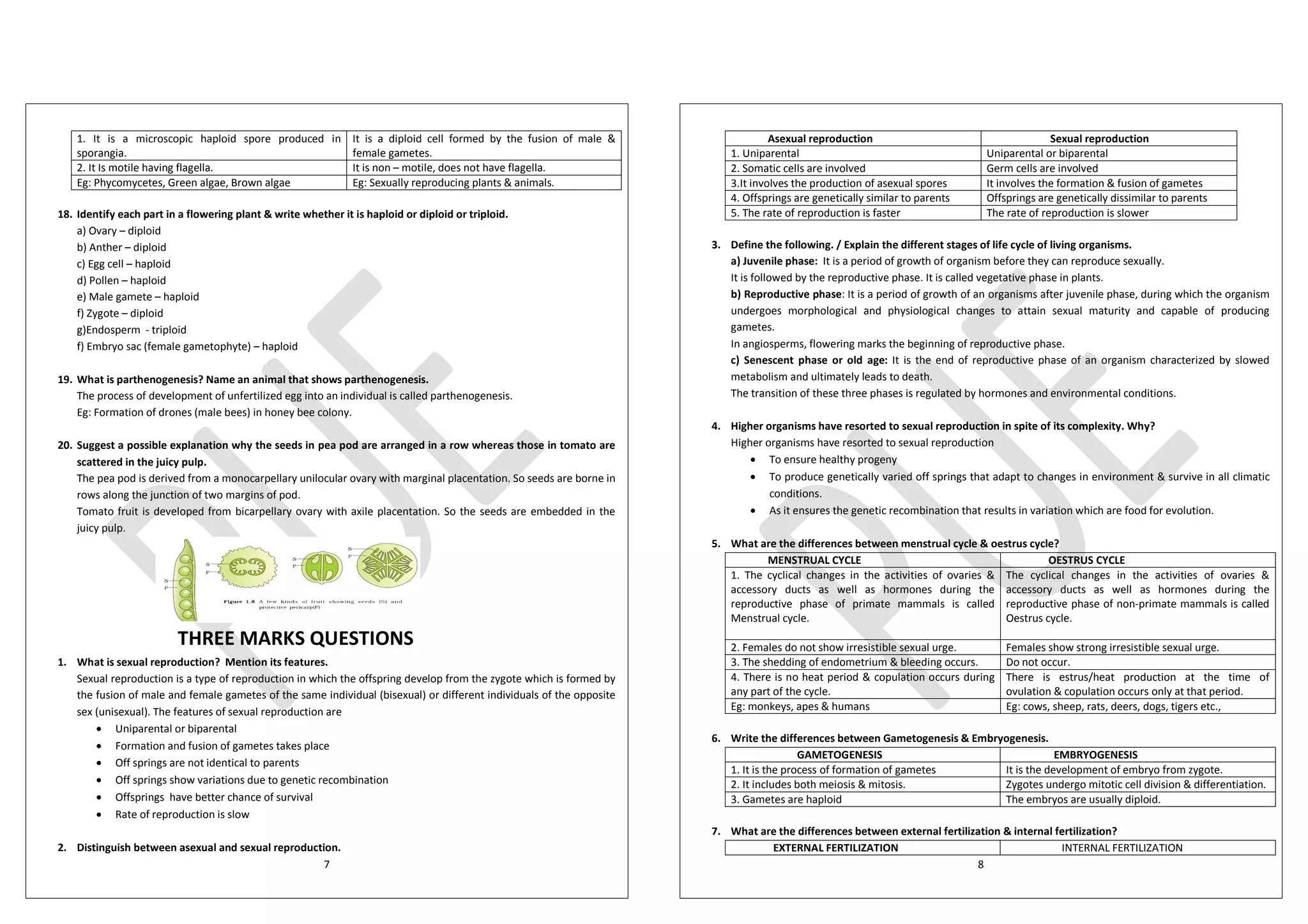7
1. It is a microscopic haploid spore produced in
sporangia.
It is a diploid cell formed by the fusion of male &
female gametes.
2. It Is motile having flagella. It is non – motile, does not have flagella.
Eg: Phycomycetes, Green algae, Brown algae Eg: Sexually reproducing plants & animals.
18. Identify each part in a flowering plant & write whether it is haploid or diploid or triploid.
a) Ovary – diploid
b) Anther – diploid
c) Egg cell – haploid
d) Pollen – haploid
e) Male gamete – haploid
f) Zygote – diploid
g)Endosperm - triploid
f) Embryo sac (female gametophyte) – haploid
19. What is parthenogenesis? Name an animal that shows parthenogenesis.
The process of development of unfertilized egg into an individual is called parthenogenesis.
Eg: Formation of drones (male bees) in honey bee colony.
20. Suggest a possible explanation why the seeds in pea pod are arranged in a row whereas those in tomato are
scattered in the juicy pulp.
The pea pod is derived from a monocarpellary unilocular ovary with marginal placentation. So seeds are borne in
rows along the junction of two margins of pod.
Tomato fruit is developed from bicarpellary ovary with axile placentation. So the seeds are embedded in the
juicy pulp.
THREE MARKS QUESTIONS
1. What is sexual reproduction? Mention its features.
Sexual reproduction is a type of reproduction in which the offspring develop from the zygote which is formed by
the fusion of male and female gametes of the same individual (bisexual) or different individuals of the opposite
sex (unisexual). The features of sexual reproduction are
· Uniparental or biparental
· Formation and fusion of gametes takes place
· Off springs are not identical to parents
· Off springs show variations due to genetic recombination
· Offsprings have better chance of survival
· Rate of reproduction is slow
2. Distinguish between asexual and sexual reproduction.
8
Asexual reproduction Sexual reproduction
1. Uniparental Uniparental or biparental
2. Somatic cells are involved Germ cells are involved
3.It involves the production of asexual spores It involves the formation & fusion of gametes
4. Offsprings are genetically similar to parents Offsprings are genetically dissimilar to parents
5. The rate of reproduction is faster The rate of reproduction is slower
3. Define the following. / Explain the different stages of life cycle of living organisms.
a) Juvenile phase: It is a period of growth of organism before they can reproduce sexually.
It is followed by the reproductive phase. It is called vegetative phase in plants.
b) Reproductive phase: It is a period of growth of an organisms after juvenile phase, during which the organism
undergoes morphological and physiological changes to attain sexual maturity and capable of producing
gametes.
In angiosperms, flowering marks the beginning of reproductive phase.
c) Senescent phase or old age: It is the end of reproductive phase of an organism characterized by slowed
metabolism and ultimately leads to death.
The transition of these three phases is regulated by hormones and environmental conditions.
4. Higher organisms have resorted to sexual reproduction in spite of its complexity. Why?
Higher organisms have resorted to sexual reproduction
· To ensure healthy progeny
· To produce genetically varied off springs that adapt to changes in environment & survive in all climatic
conditions.
· As it ensures the genetic recombination that results in variation which are food for evolution.
5. What are the differences between menstrual cycle & oestrus cycle?
MENSTRUAL CYCLE OESTRUS CYCLE
1. The cyclical changes in the activities of ovaries &
accessory ducts as well as hormones during the
reproductive phase of primate mammals is called
Menstrual cycle.
The cyclical changes in the activities of ovaries &
accessory ducts as well as hormones during the
reproductive phase of non-primate mammals is called
Oestrus cycle.
2. Females do not show irresistible sexual urge. Females show strong irresistible sexual urge.
3. The shedding of endometrium & bleeding occurs. Do not occur.
4. There is no heat period & copulation occurs during
any part of the cycle.
There is estrus/heat production at the time of
ovulation & copulation occurs only at that period.
Eg: monkeys, apes & humans Eg: cows, sheep, rats, deers, dogs, tigers etc.,
6. Write the differences between Gametogenesis & Embryogenesis.
GAMETOGENESIS EMBRYOGENESIS
1. It is the process of formation of gametes It is the development of embryo from zygote.
2. It includes both meiosis & mitosis. Zygotes undergo mitotic cell division & differentiation.
3. Gametes are haploid The embryos are usually diploid.
7. What are the differences between external fertilization & internal fertilization?
EXTERNAL FERTILIZATION INTERNAL FERTILIZATION
 