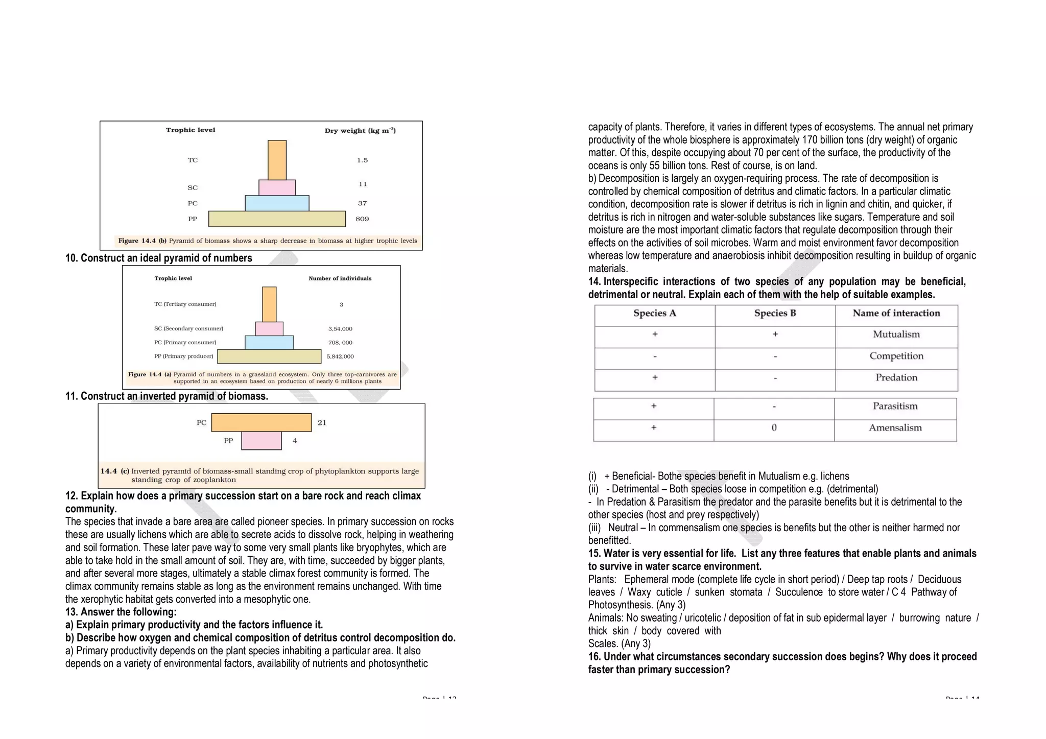 Page | 13
10. Construct an ideal pyramid of numbers
11. Construct an inverted pyramid of biomass.
12. Explain how does a primary succession start on a bare rock and reach climax
community.
The species that invade a bare area are called pioneer species. In primary succession on rocks
these are usually lichens which are able to secrete acids to dissolve rock, helping in weathering
and soil formation. These later pave way to some very small plants like bryophytes, which are
able to take hold in the small amount of soil. They are, with time, succeeded by bigger plants,
and after several more stages, ultimately a stable climax forest community is formed. The
climax community remains stable as long as the environment remains unchanged. With time
the xerophytic habitat gets converted into a mesophytic one.
13. Answer the following:
a) Explain primary productivity and the factors influence it.
b) Describe how oxygen and chemical composition of detritus control decomposition do.
a) Primary productivity depends on the plant species inhabiting a particular area. It also
depends on a variety of environmental factors, availability of nutrients and photosynthetic
Page | 14
capacity of plants. Therefore, it varies in different types of ecosystems. The annual net primary
productivity of the whole biosphere is approximately 170 billion tons (dry weight) of organic
matter. Of this, despite occupying about 70 per cent of the surface, the productivity of the
oceans is only 55 billion tons. Rest of course, is on land.
b) Decomposition is largely an oxygen-requiring process. The rate of decomposition is
controlled by chemical composition of detritus and climatic factors. In a particular climatic
condition, decomposition rate is slower if detritus is rich in lignin and chitin, and quicker, if
detritus is rich in nitrogen and water-soluble substances like sugars. Temperature and soil
moisture are the most important climatic factors that regulate decomposition through their
effects on the activities of soil microbes. Warm and moist environment favor decomposition
whereas low temperature and anaerobiosis inhibit decomposition resulting in buildup of organic
materials.
14. Interspecific interactions of two species of any population may be beneficial,
detrimental or neutral. Explain each of them with the help of suitable examples.
(i) + Beneficial- Bothe species benefit in Mutualism e.g. lichens
(ii) - Detrimental – Both species loose in competition e.g. (detrimental)
- In Predation & Parasitism the predator and the parasite benefits but it is detrimental to the
other species (host and prey respectively)
(iii) Neutral – In commensalism one species is benefits but the other is neither harmed nor
benefitted.
15. Water is very essential for life. List any three features that enable plants and animals
to survive in water scarce environment.
Plants: Ephemeral mode (complete life cycle in short period) / Deep tap roots / Deciduous
leaves / Waxy cuticle / sunken stomata / Succulence to store water / C 4 Pathway of
Photosynthesis. (Any 3)
Animals: No sweating / uricotelic / deposition of fat in sub epidermal layer / burrowing nature /
thick skin / body covered with
Scales. (Any 3)
16. Under what circumstances secondary succession does begins? Why does it proceed
faster than primary succession?
 