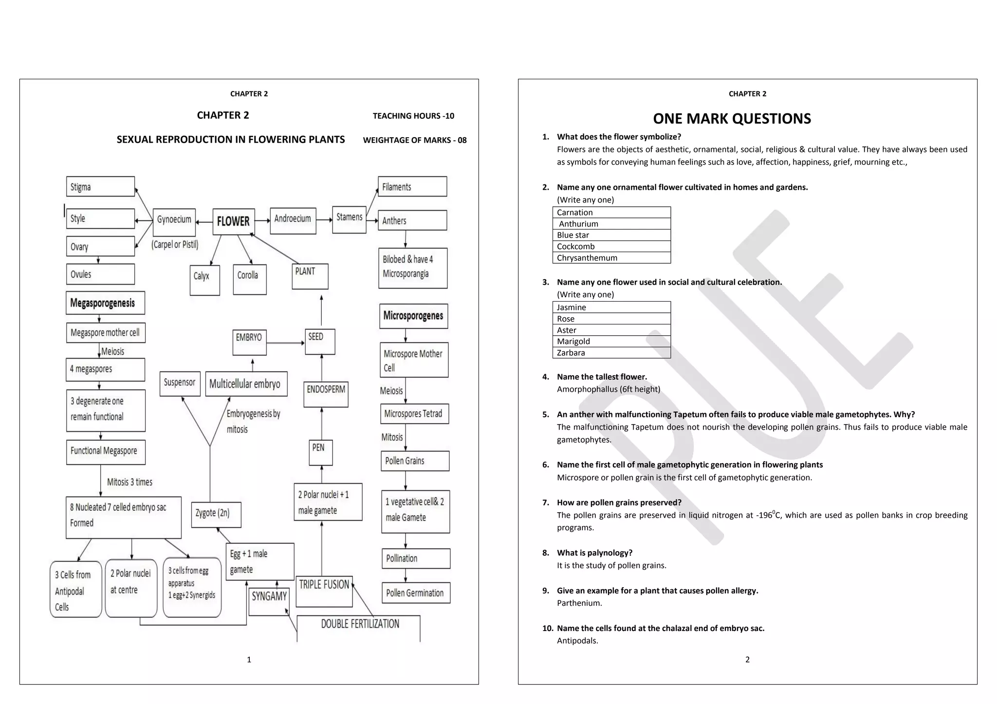 CHAPTER 2
1
CHAPTER 2 TEACHING HOURS -10
SEXUAL REPRODUCTION IN FLOWERING PLANTS WEIGHTAGE OF MARKS - 08
CHAPTER 2
2
ONE MARK QUESTIONS
1. What does the flower symbolize?
Flowers are the objects of aesthetic, ornamental, social, religious & cultural value. They have always been used
as symbols for conveying human feelings such as love, affection, happiness, grief, mourning etc.,
2. Name any one ornamental flower cultivated in homes and gardens.
(Write any one)
Carnation
Anthurium
Blue star
Cockcomb
Chrysanthemum
3. Name any one flower used in social and cultural celebration.
(Write any one)
Jasmine
Rose
Aster
Marigold
Zarbara
4. Name the tallest flower.
Amorphophallus (6ft height)
5. An anther with malfunctioning Tapetum often fails to produce viable male gametophytes. Why?
The malfunctioning Tapetum does not nourish the developing pollen grains. Thus fails to produce viable male
gametophytes.
6. Name the first cell of male gametophytic generation in flowering plants
Microspore or pollen grain is the first cell of gametophytic generation.
7. How are pollen grains preserved?
The pollen grains are preserved in liquid nitrogen at -1960
C, which are used as pollen banks in crop breeding
programs.
8. What is palynology?
It is the study of pollen grains.
9. Give an example for a plant that causes pollen allergy.
Parthenium.
10. Name the cells found at the chalazal end of embryo sac.
Antipodals.
 