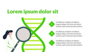 Incididunt ut labore et dolore
magna aliqua. Ut enim ad minim
veniam, quis nostrud exercitation
Incididunt ut labore et dolore
magna aliqua. Ut enim ad minim
veniam, quis nostrud exercitation
Incididunt ut labore et dolore
magna aliqua. Ut enim ad minim
veniam, quis nostrud exercitation
Lorem ipsum dolor sit
 
