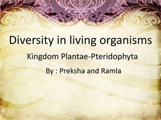 Kingdom Plantae-Pteridophyta
Diversity in living organisms
By : Preksha and Ramla
 