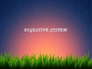 DIGESTIVE SYSTEM 
 