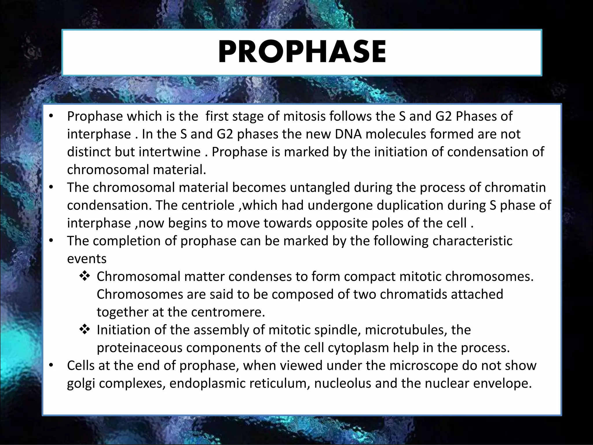 Mitosis- with an animated explanation of the concept | PPTX