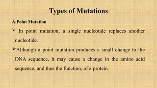BIOLOGY DNA 3 Mutation--Lecture 3-1.pptx