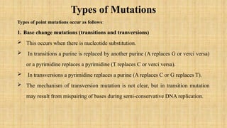 BIOLOGY DNA 3 Mutation--Lecture 3-1.pptx