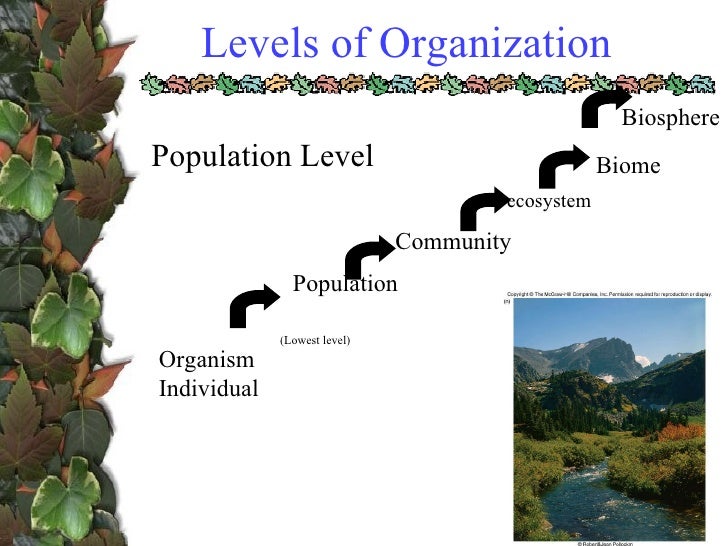 Biology ecology
