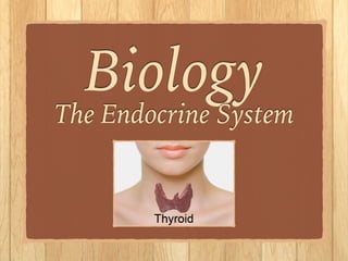 Biology
The Endocrine System
!
!
 