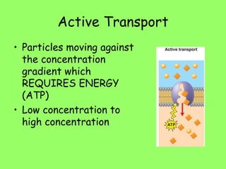 Active Transport
• Particles moving against
the concentration
gradient which
REQUIRES ENERGY
(ATP)
• Low concentration to
high concentration
 