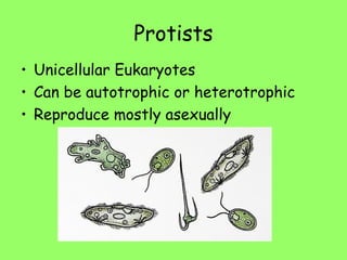 Protists
• Unicellular Eukaryotes
• Can be autotrophic or heterotrophic
• Reproduce mostly asexually
 