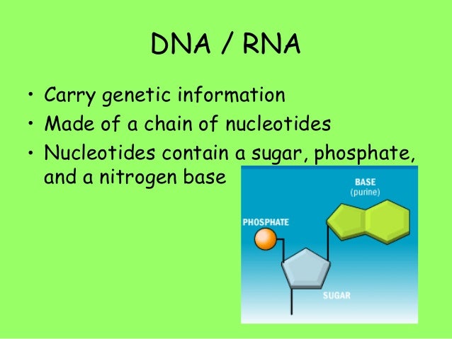does chemosynthesis produce oxygen does chemosynthesis produce oxygen
