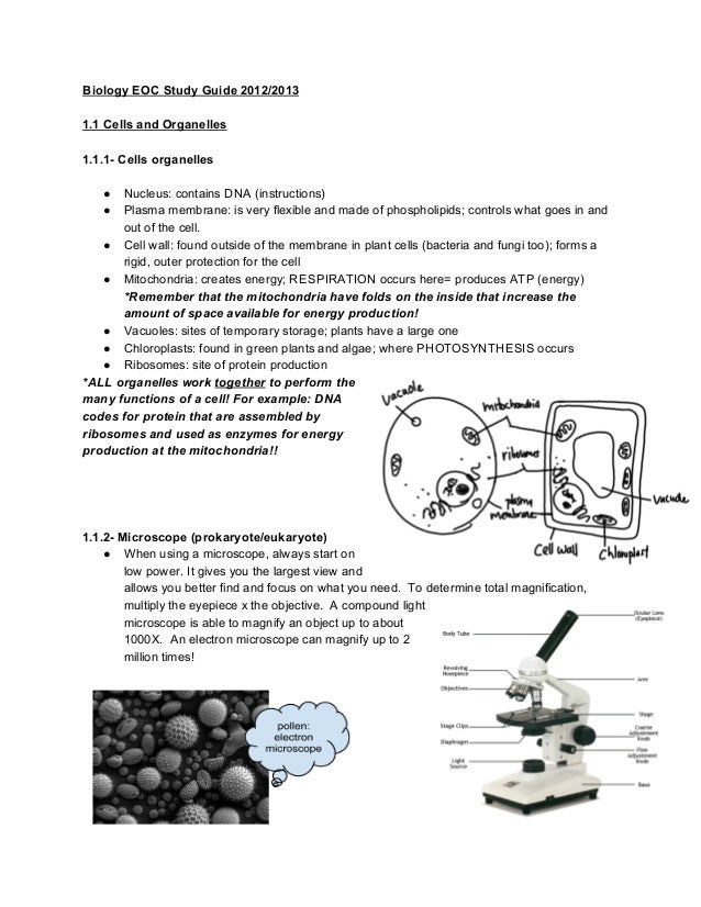 Biology Eoc Study Guide Questions