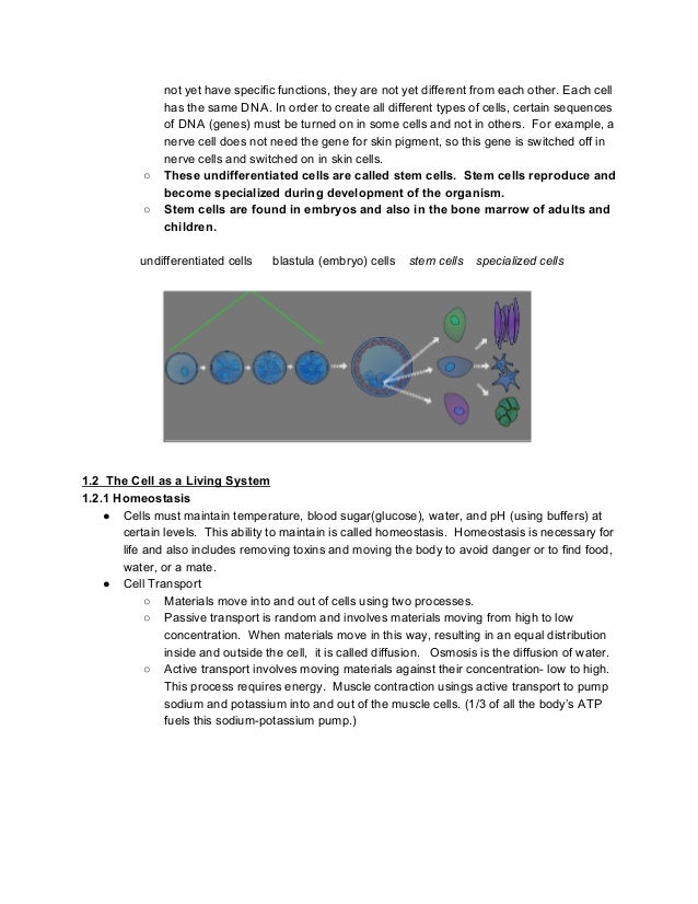 Biology EOC Study Guide/Questions