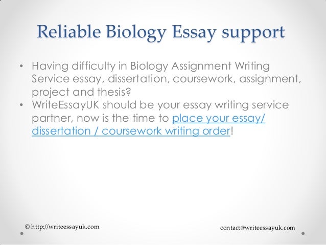 Romeo And Juliet Essay Thesis Comparison Contrast Essay Example Paper also Learning English Essay Example Biology Essay Support Expository Essay Thesis Statement