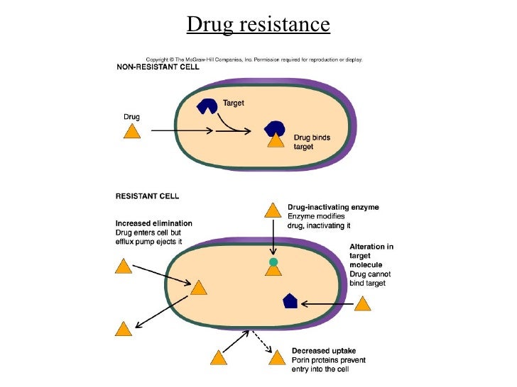 bactrim ds escherichia coli