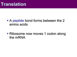 A  peptide  bond forms between the 2 amino acids Ribosome now moves 1 codon along the mRNA  Translation 