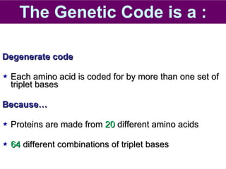 The Genetic Code is a : Degenerate code Each amino acid is coded for by more than one set of triplet bases Because… Proteins are made from  20  different amino acids 64  different combinations of triplet bases 