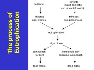 The process of Eutrophication fertilisers sewage  (liquid domestic and industrial waste) minerals esp. nitrates minerals esp. phosphates eutrophication algal bloom competition for light consumers can't  consume fast enough dead plants dead algae 