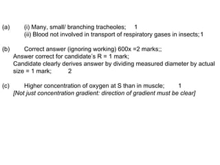 (a) (i) Many, small/ branching tracheoles; 1 (ii) Blood not involved in transport of respiratory gases in insects; 1 (b) Correct answer (ignoring working) 600x =2 marks;; Answer correct for candidate’s R = 1 mark; Candidate clearly derives answer by dividing measured diameter by actual size = 1 mark; 2 (c) Higher concentration of oxygen at S than in muscle; 1 [Not just concentration gradient: direction of gradient must be clear] 