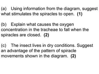(a) Using information from the diagram, suggest what stimulates the spiracles to open.  (1) (b) Explain what causes the oxygen concentration in the tracheae to fall when the spiracles are closed.  (2) (c) The insect lives in dry conditions. Suggest an advantage of the pattern of spiracle movements shown in the diagram.  (2) 