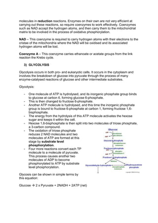 molecules in reduction reactions. Enzymes on their own are not very efficient at
carrying out these reactions, so require coenzymes to work effectively. Coenzymes
such as NAD accept the hydrogen atoms, and then carry them to the mitochondrial
matrix to be involved in the process of oxidative phosphorylation.

NAD – This coenzyme is required to carry hydrogen atoms with their electrons to the
cristae of the mitochondria where the NAD will be oxidised and its associated
hydrogen atoms will be lost.

Coenzyme A – This coenzyme carries ethanoate or acetate groups from the link
reaction the Krebs cycle.

   3) GLYCOLYSIS

Glycolysis occurs in both pro- and eukaryotic cells. It occurs in the cytoplasm and
involves the breakdown of glucose into pyruvate through the process of many
enzyme-catalysed reactions of glucose and other intermediate substrates.

Glycolysis:

   -   One molecule of ATP is hydrolysed, and its inorganic phosphate group binds
       to glucose at carbon 6, forming glucose 6-phosphate.
   -   This is then changed to fructose 6-phosphate.
   -   Another ATP molecule is hydrolysed, and this time the inorganic phosphate
       group is bound to fructose 6-phosphate at carbon 1, forming fructose 1,6-
       bisphosphate.
   -   The energy from the hydrolysis of this ATP molecule activates the hexose
       sugar and keeps it within the cell.
   -   Hexose 1,6-bisphosphate is then split into two molecules of triose phosphate,
       a 3-carbon compound.
   -   The oxidation of triose phosphate
       reduces 2 NAD molecules and two
       molecules of ATP are formed at this
       stage by substrate level
       phosphorylation.
   -   Four more reactions convert each TP
       molecule to a molecule of pyruvate.
       This process causes another two
       molecules of ADP to become
       phosphorylated to ATP by substrate
       level phosphorylation.

Glycosis can be shown in simple terms by
this equation:

Glucose  2 x Pyruvate + 2NADH + 2ATP (net)
 
