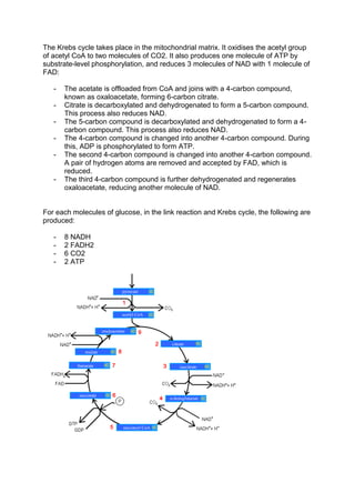 The Krebs cycle takes place in the mitochondrial matrix. It oxidises the acetyl group
of acetyl CoA to two molecules of CO2. It also produces one molecule of ATP by
substrate-level phosphorylation, and reduces 3 molecules of NAD with 1 molecule of
FAD:

   -   The acetate is offloaded from CoA and joins with a 4-carbon compound,
       known as oxaloacetate, forming 6-carbon citrate.
   -   Citrate is decarboxylated and dehydrogenated to form a 5-carbon compound.
       This process also reduces NAD.
   -   The 5-carbon compound is decarboxylated and dehydrogenated to form a 4-
       carbon compound. This process also reduces NAD.
   -   The 4-carbon compound is changed into another 4-carbon compound. During
       this, ADP is phosphorylated to form ATP.
   -   The second 4-carbon compound is changed into another 4-carbon compound.
       A pair of hydrogen atoms are removed and accepted by FAD, which is
       reduced.
   -   The third 4-carbon compound is further dehydrogenated and regenerates
       oxaloacetate, reducing another molecule of NAD.


For each molecules of glucose, in the link reaction and Krebs cycle, the following are
produced:

   -   8 NADH
   -   2 FADH2
   -   6 CO2
   -   2 ATP
 