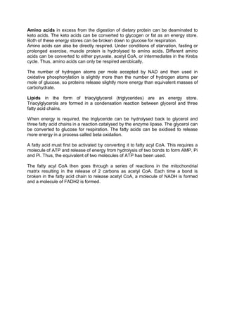 Amino acids in excess from the digestion of dietary protein can be deaminated to
keto acids. The keto acids can be converted to glycogen or fat as an energy store.
Both of these energy stores can be broken down to glucose for respiration.
Amino acids can also be directly respired. Under conditions of starvation, fasting or
prolonged exercise, muscle protein is hydrolysed to amino acids. Different amino
acids can be converted to either pyruvate, acetyl CoA, or intermediates in the Krebs
cycle. Thus, amino acids can only be respired aerobically.

The number of hydrogen atoms per mole accepted by NAD and then used in
oxidative phosphorylation is slightly more than the number of hydrogen atoms per
mole of glucose, so proteins release slightly more energy than equivalent masses of
carbohydrate.

Lipids in the form of triacylglycerol (triglycerides) are an energy store.
Triacylglycerols are formed in a condensation reaction between glycerol and three
fatty acid chains.

When energy is required, the triglyceride can be hydrolysed back to glycerol and
three fatty acid chains in a reaction catalysed by the enzyme lipase. The glycerol can
be converted to glucose for respiration. The fatty acids can be oxidised to release
more energy in a process called beta oxidation.

A fatty acid must first be activated by converting it to fatty acyl CoA. This requires a
molecule of ATP and release of energy from hydrolysis of two bonds to form AMP, Pi
and Pi. Thus, the equivalent of two molecules of ATP has been used.

The fatty acyl CoA then goes through a series of reactions in the mitochondrial
matrix resulting in the release of 2 carbons as acetyl CoA. Each time a bond is
broken in the fatty acid chain to release acetyl CoA, a molecule of NADH is formed
and a molecule of FADH2 is formed.
 