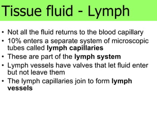 Not all the fluid returns to the blood capillary 10% enters a separate system of microscopic tubes called  lymph capillaries These are part of the  lymph system Lymph vessels have valves that let fluid enter but not leave them The lymph capillaries join to form  lymph vessels Tissue fluid - Lymph 