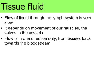 Flow of liquid through the lymph system is very slow It depends on movement of our muscles, the valves in the vessels. Flow is in one direction only, from tissues back towards the bloodstream. Tissue fluid 