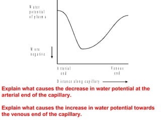Explain what causes the decrease in water potential at the arterial end of the capillary. Explain what causes the increase in water potential towards the venous end of the capillary. 