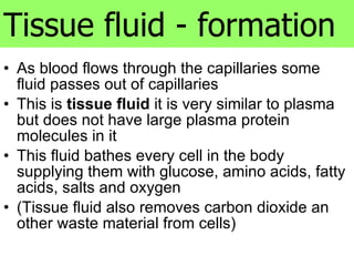 As blood flows through the capillaries some fluid passes out of capillaries This is  tissue fluid  it is very similar to plasma but does not have large plasma protein molecules in it This fluid bathes every cell in the body supplying them with glucose, amino acids, fatty acids, salts and oxygen (Tissue fluid also removes carbon dioxide an other waste material from cells) Tissue fluid - formation 