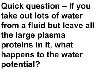 Quick question – If you take out lots of water from a fluid but leave all the large plasma proteins in it, what happens to the water potential? 