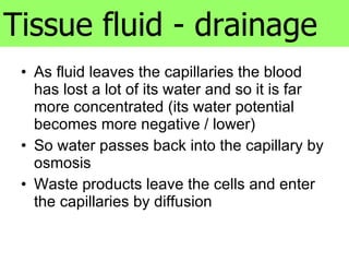 As fluid leaves the capillaries the blood has lost a lot of its water and so it is far more concentrated (its water potential becomes more negative / lower) So water passes back into the capillary by osmosis Waste products leave the cells and enter the capillaries by diffusion Tissue fluid - drainage 