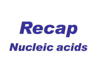 Recap  Nucleic   acids 