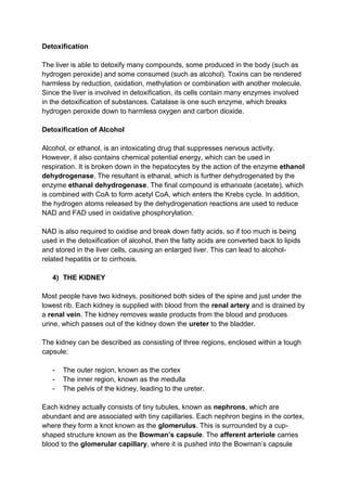 Detoxification

The liver is able to detoxify many compounds, some produced in the body (such as
hydrogen peroxide) and some consumed (such as alcohol). Toxins can be rendered
harmless by reduction, oxidation, methylation or combination with another molecule.
Since the liver is involved in detoxification, its cells contain many enzymes involved
in the detoxification of substances. Catalase is one such enzyme, which breaks
hydrogen peroxide down to harmless oxygen and carbon dioxide.

Detoxification of Alcohol

Alcohol, or ethanol, is an intoxicating drug that suppresses nervous activity.
However, it also contains chemical potential energy, which can be used in
respiration. It is broken down in the hepatocytes by the action of the enzyme ethanol
dehydrogenase. The resultant is ethanal, which is further dehydrogenated by the
enzyme ethanal dehydrogenase. The final compound is ethanoate (acetate), which
is combined with CoA to form acetyl CoA, which enters the Krebs cycle. In addition,
the hydrogen atoms released by the dehydrogenation reactions are used to reduce
NAD and FAD used in oxidative phosphorylation.

NAD is also required to oxidise and break down fatty acids, so if too much is being
used in the detoxification of alcohol, then the fatty acids are converted back to lipids
and stored in the liver cells, causing an enlarged liver. This can lead to alcohol-
related hepatitis or to cirrhosis.

   4) THE KIDNEY

Most people have two kidneys, positioned both sides of the spine and just under the
lowest rib. Each kidney is supplied with blood from the renal artery and is drained by
a renal vein. The kidney removes waste products from the blood and produces
urine, which passes out of the kidney down the ureter to the bladder.

The kidney can be described as consisting of three regions, enclosed within a tough
capsule:

   -   The outer region, known as the cortex
   -   The inner region, known as the medulla
   -   The pelvis of the kidney, leading to the ureter.

Each kidney actually consists of tiny tubules, known as nephrons, which are
abundant and are associated with tiny capillaries. Each nephron begins in the cortex,
where they form a knot known as the glomerulus. This is surrounded by a cup-
shaped structure known as the Bowman’s capsule. The afferent arteriole carries
blood to the glomerular capillary, where it is pushed into the Bowman’s capsule
 