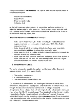 through the process of ultrafiltration. The capsule leads into the nephron, which is
divided into four parts:

   -   Proximal convoluted tube
   -   Loop of Henle
   -   Distal convoluted tube
   -   Collecting duct

As the fluid moves along the nephron, its composition is altered; achieved by
selective reabsorbtion of salts, water, etc. These substances are absorbed back
into the tissue fluid and blood capillaries surrounding the nephron tubule. The final
product in the collecting duct is urine.

How does the composition of the fluid change?

   -   In the proximal convolution, the fluid is altered by the reabsorbtion of all
       sugars, most salts and some water. In total, around 85% of the fluid is
       reabsorbed here.
   -   In the descending limb of the loop of Henle, the fluid’s water potential is
       decreased by the addition of salts and the removal of water.
   -   In the ascending limb of the loop of Henle, the water potential is increased as
       salts are removed by active transport.
   -   In the collecting duct, the water potential is decreased again by the removal of
       water. This ensures that urine has a low water potential, so it has a higher
       concentration of solutes than the blood or tissue fluid.

   5) FORMATION OF URINE

The barrier between the blood in the capillary and the lumen of the Bowman’s
capsule consists of only three layers of cells:

   -   The capillary endothelium
   -   A basement membrane
   -   The Bowman’s capsule epithelial cells

The endothelium of the capillaries has narrow gaps between its cells to allow
ultrafiltration. They allow the blood plasma (and whatever is in solution in it) to pass
through. The basement membrane is a fine mesh of collagen fibres and
glycoproteins. These act as a filter, only allowing molecules with a relative molecular
mass of less than 69,000 to pass through. Thus, blood cells and proteins are held in
the capillaries. Finally, the epithelial cells of the Bowman’s capsule (known as
podocytes) have finger-like projections called major processes. These ensure that
there are gaps between cells, so that fluid from the blood in the glomerulus can pass
into the lumen of the Bowman’s capsule.
 