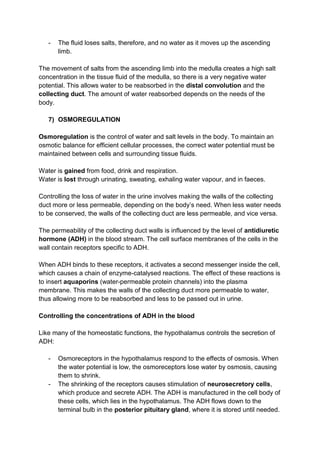-   The fluid loses salts, therefore, and no water as it moves up the ascending
       limb.

The movement of salts from the ascending limb into the medulla creates a high salt
concentration in the tissue fluid of the medulla, so there is a very negative water
potential. This allows water to be reabsorbed in the distal convolution and the
collecting duct. The amount of water reabsorbed depends on the needs of the
body.

   7) OSMOREGULATION

Osmoregulation is the control of water and salt levels in the body. To maintain an
osmotic balance for efficient cellular processes, the correct water potential must be
maintained between cells and surrounding tissue fluids.

Water is gained from food, drink and respiration.
Water is lost through urinating, sweating, exhaling water vapour, and in faeces.

Controlling the loss of water in the urine involves making the walls of the collecting
duct more or less permeable, depending on the body’s need. When less water needs
to be conserved, the walls of the collecting duct are less permeable, and vice versa.

The permeability of the collecting duct walls is influenced by the level of antidiuretic
hormone (ADH) in the blood stream. The cell surface membranes of the cells in the
wall contain receptors specific to ADH.

When ADH binds to these receptors, it activates a second messenger inside the cell,
which causes a chain of enzyme-catalysed reactions. The effect of these reactions is
to insert aquaporins (water-permeable protein channels) into the plasma
membrane. This makes the walls of the collecting duct more permeable to water,
thus allowing more to be reabsorbed and less to be passed out in urine.

Controlling the concentrations of ADH in the blood

Like many of the homeostatic functions, the hypothalamus controls the secretion of
ADH:

   -   Osmoreceptors in the hypothalamus respond to the effects of osmosis. When
       the water potential is low, the osmoreceptors lose water by osmosis, causing
       them to shrink.
   -   The shrinking of the receptors causes stimulation of neurosecretory cells,
       which produce and secrete ADH. The ADH is manufactured in the cell body of
       these cells, which lies in the hypothalamus. The ADH flows down to the
       terminal bulb in the posterior pituitary gland, where it is stored until needed.
 