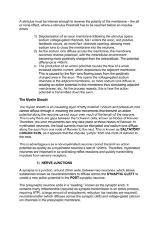 A stimulus must be intense enough to reverse the polarity of the membrane – the all
or none effect, where a stimulus threshold has to be reached before an impulse
arises.

          1) Depolarisation of an axon membrane following the stimulus opens
             sodium voltage-gated channels. Na+ enters the axon, and positive
             feedback occurs, as more Na+ channels opening, allowing more
             sodium ions to cross the membrane into the neurone.
          2) As the sodium ions diffuse across the membrane, the membrane
             becomes reverse polarised, with the intracellular environment
             becoming more positively charged than the extracellular. The potential
             difference is +40mV.
          3) The production of an action potential causes the flow of a small,
             localised electric current, which depolarises the adjacent membrane.
             This is caused by the Na+ ions flowing away from the positively
             charged area in the axon. This opens the voltage-gated sodium
             channels in the adjacent membrane, so more sodium ions diffuse in,
             creating an action potential in this membrane thus stimulating adjacent
             membranes, etc. As the process repeats, this is how the action
             potential is transmitted down the axon.

The Myelin Sheath

The myelin sheath is an insulating layer of fatty material. Sodium and potassium ions
cannot diffuse through it, meaning the ionic movements that transmit an action
potential along the neurone cannot occur over much of the length of the neurone.
This is why there are gaps between the Schwann cells, known as Nodes of Ranvier.
Therefore, the ionic movements can only take place at these Nodes of Ranvier. In
myelinated neurones, the local currents must be elongated and sodium ions diffuse
along the axon from one node of Ranvier to the next. This is known as SALTATORY
CONDUCTION, as it appears that the impulse “jumps” from one node of Ranvier to
the next.

This is advantageous as a non-myelinated neurone cannot transmit an action
potential as quickly as a myelinated neurone’s rate of 120m/s. Therefore, myelinated
neurones are important in co-ordinating reflex reactions and quickly transmitting
impulses from sensory receptors.

            1) NERVE JUNCTIONS

A synapse is a junction, around 20nm wide, between two neurones, which allows
substances known as neurotransmitters to diffuse across the SYNAPTIC CLEFT to
create a new action potential in the POST-synaptic neurone.

The presynaptic neurone ends in a “swelling,” known as the synaptic knob. It
contains many mitochondria (required as synaptic transmission is an active process,
requiring ATP), a large amount of endoplasmic reticulum (as vesicles are required),
neurotransmitter (which diffuses across the synaptic cleft) and voltage-gated calcium
ion channels in the presynaptic membrane.
 