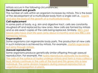 Mitosis occurs in the following circumstances:
Development and growth
The number of cells within an organism increases by mitosis. This is the basis
of the development of a multicellular body from a single cell i.e., zygote
and also the basis of the growth of a multicellular body.
Cell replacement
In some parts of body, e.g. skin and digestive tract, cells are constantly
sloughed off and replaced by new ones. New cells are formed by mitosis
and so are exact copies of the cells being replaced. Similarly, RBCs (red
blood cells) have short life span (only about 4 months) and new RBCs are
formed by mitosis.
Regeneration
Some organisms can regenerate body parts. The production of new cells
in such instances is achieved by mitosis. For example, starfish regenerate
lost arms through mitosis.
Asexual reproduction
Some organisms produce genetically similar offspring through asexual
reproduction. For example, the hydra reproduces asexually by budding.
The cells at the surface of hydra undergo mitosis and form a mass called a
bud. Mitosis continues in the cells of the bud and this grows into a new
individual. The same division happens during asexual reproduction or
vegetative propagation in plants.
 
